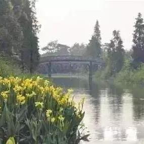 东莞市租车哪里最便宜的