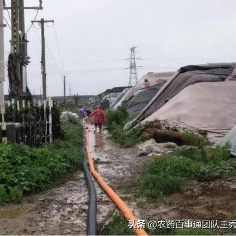 台风为什么带来雨水