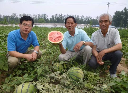 农村兴起了“返乡潮”，外出打工是好路子，为啥有的农民不打工了