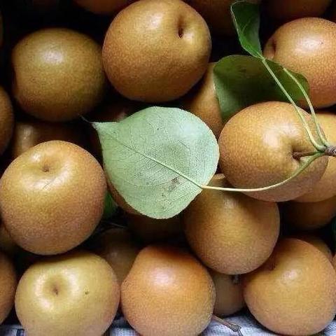 南宁脐橙分布的相关长尾关键词有哪些