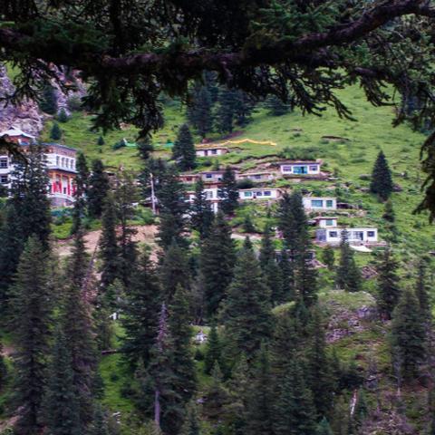 浙江温州市文成寺庙的长尾关键词有哪些