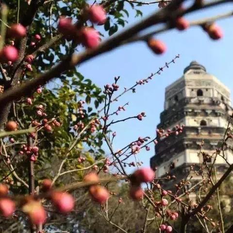 苏州市繁花中心怎么样