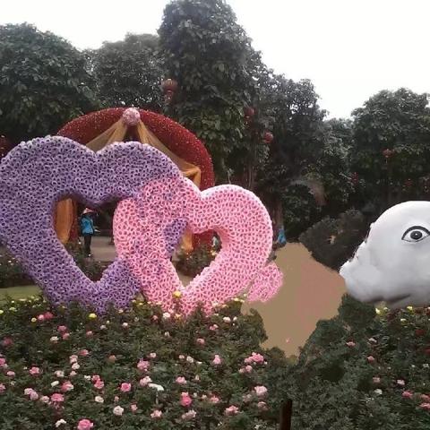 南宁市青秀山怎么买票