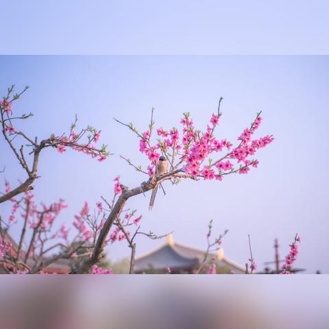 西安市是什么云