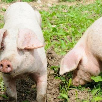 广西省在河南的哪个位置