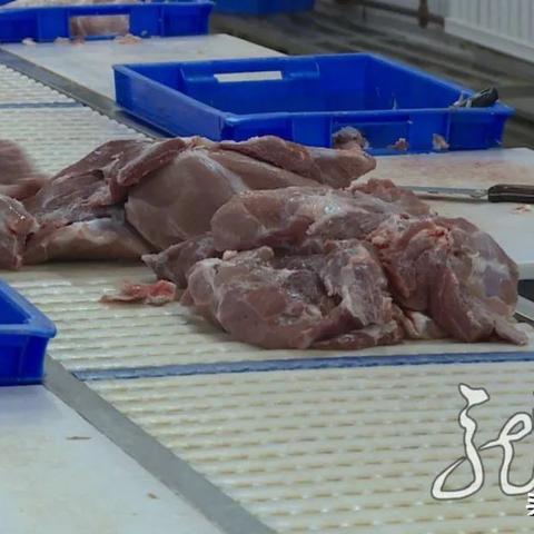 【哈尔滨今日生猪价格】2025年4月3日哈尔滨生猪价格是多少