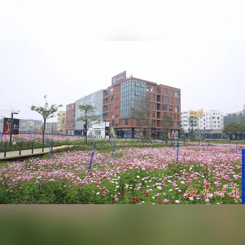 广州市基建路是什么街道