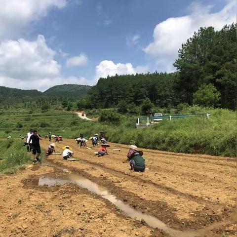 南宁建筑劳务公司好不好？