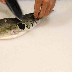 靖江和如南通哪个发达长尾关键词有什么