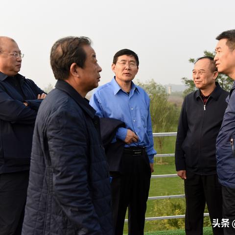 西安 苗木相关长尾关键词有哪些