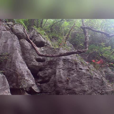 无锡市青阳中学怎么样