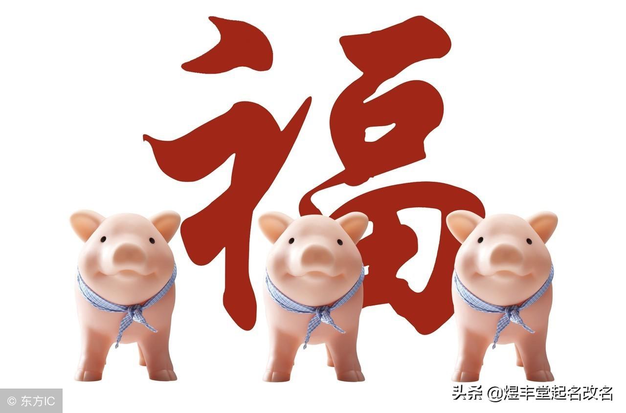 猪年的宝宝怎么起名(你忘不掉的那个人现在在哪)