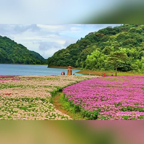 广州市温度最低是多少度