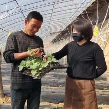 兰州市哪个大学解封了