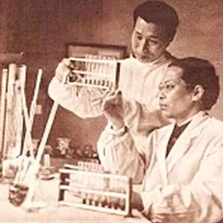 石家庄市中医诊所的长尾关键词有什么