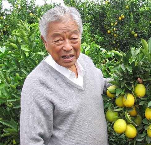 褚时健的传奇生活：71岁被囚禁，三年后创业，85岁家产亿万