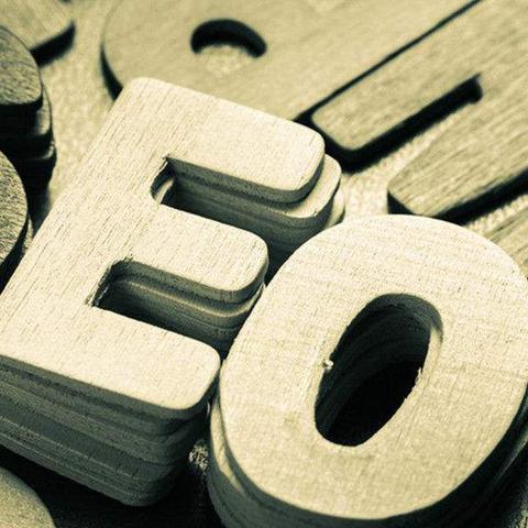 自建seo有必要吗