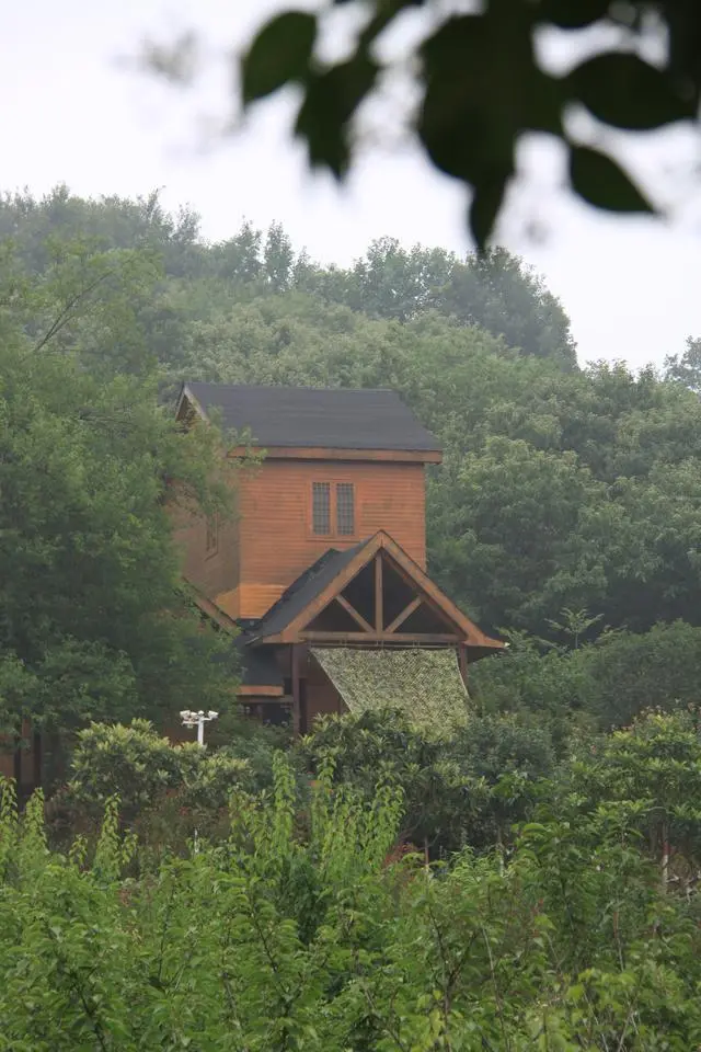 头条怎么加入训练营赚钱 头条训练营如何加入