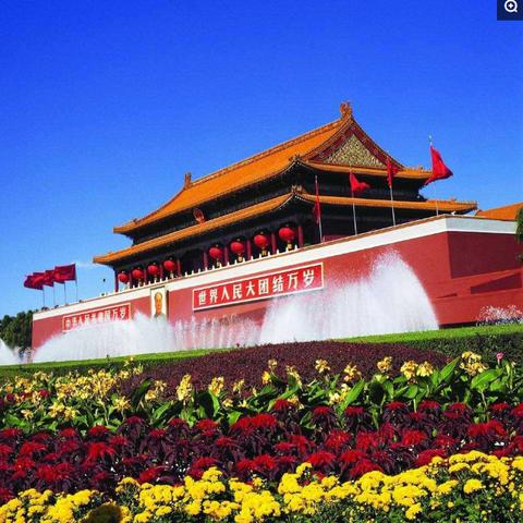 重庆跟上海比哪个大一点