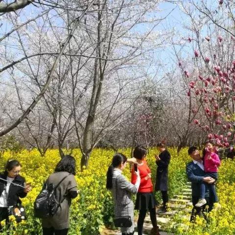 苏州至武汉高铁时刻表的长尾关键词有哪些