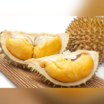 济南市仓鼠店有哪些店铺