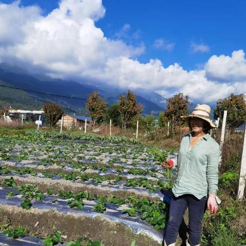 关于山东苍山大姐在上海相关关键词有哪些