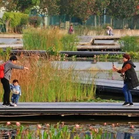 厦门市最热多少度天气啊