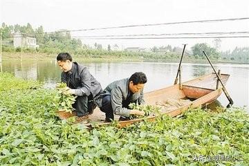 四川男孩离开工地，回农村做冷门项目，付出总算有了回报