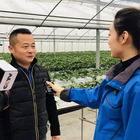 宝应县去临沂市怎么走