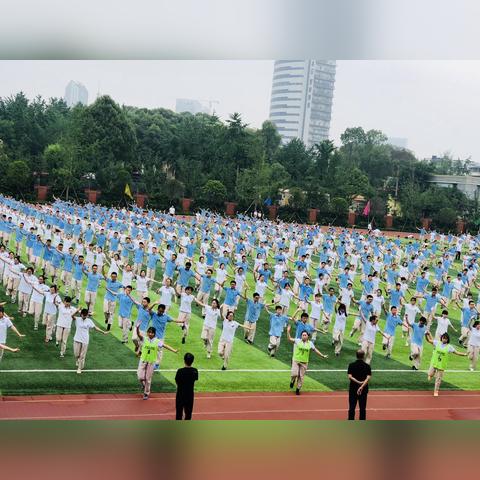 成都市成华区内有哪些高中比较好