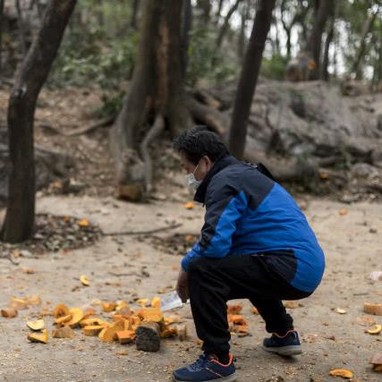 桂林猴山在哪里的相关长尾关键词有哪些
