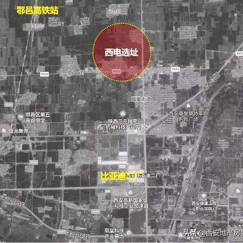 济南宝德医药有限公司相关长尾关键词有哪些