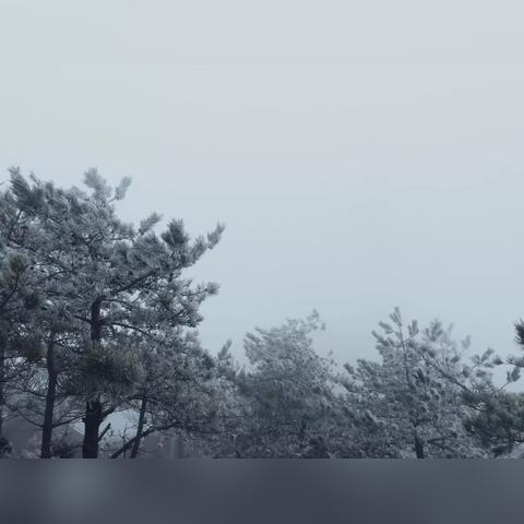 福建温度特点的相关长尾关键词有哪些