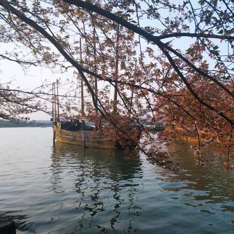 无锡市老38中在哪里