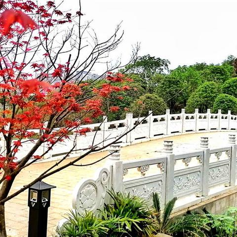 桂林市为什么搬到临桂区