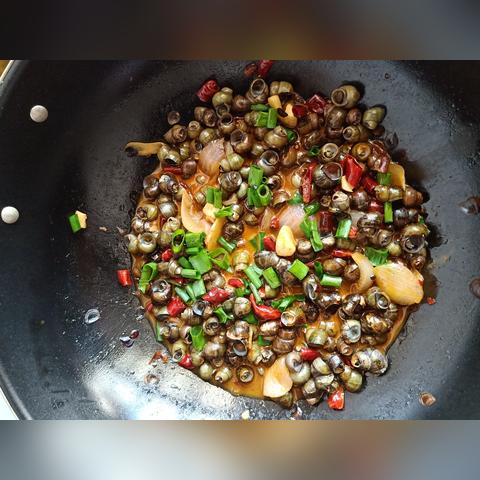 温州市钓鱼基地在哪里啊