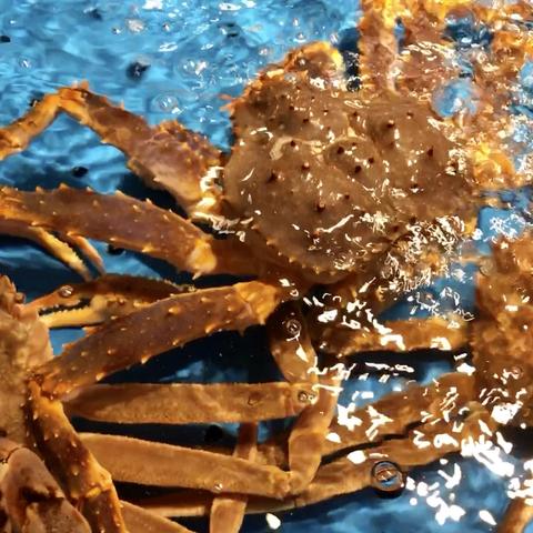 老临沂味道临沂市的长尾关键词有什么