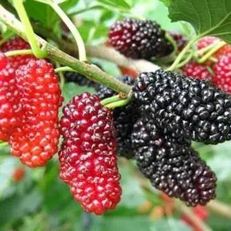 厦门三月穿什么的相关长尾关键词有哪些