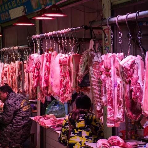 厦门 圆香猪肉的相关长尾关键词有哪些