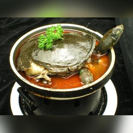 合肥地道重庆江湖菜相关长尾关键词有哪些