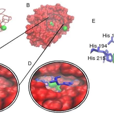 河南对苯二酚的相关长尾关键词有哪些