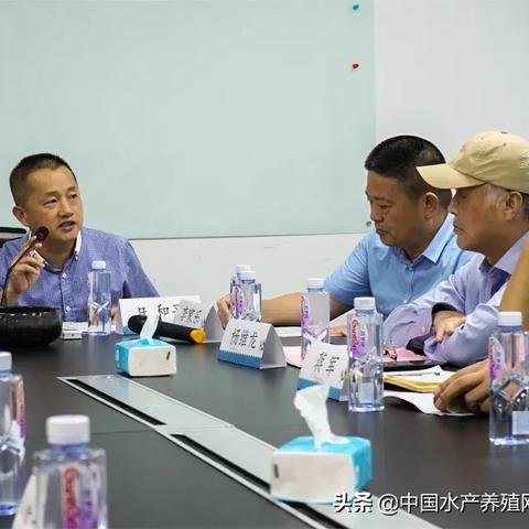 上海河道适合哪些饵料