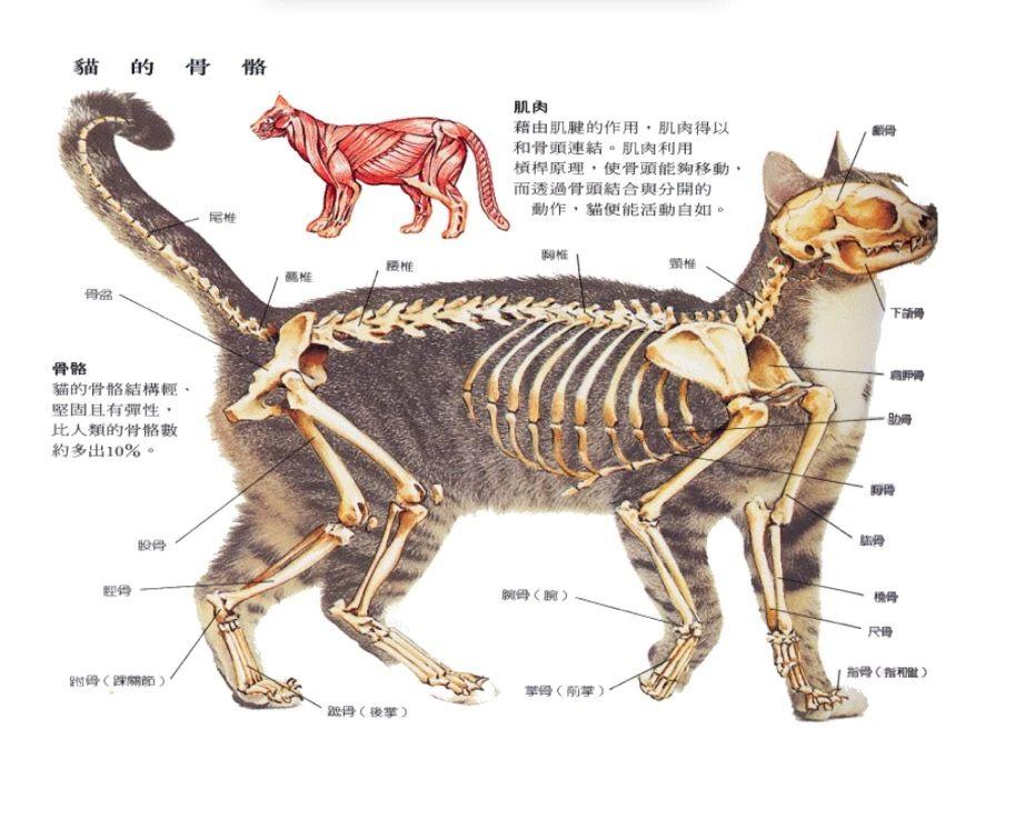 【什么时候解封
 ,什么时候解封新冠疫情】
