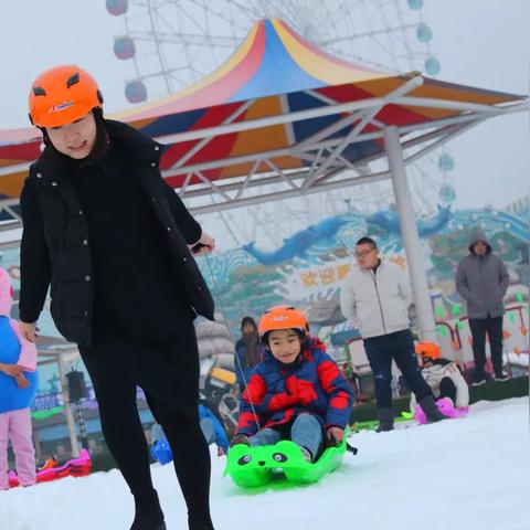 潍坊市哪里有熊猫基地