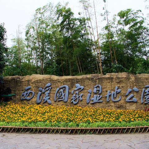 杭州市西溪属哪个区
