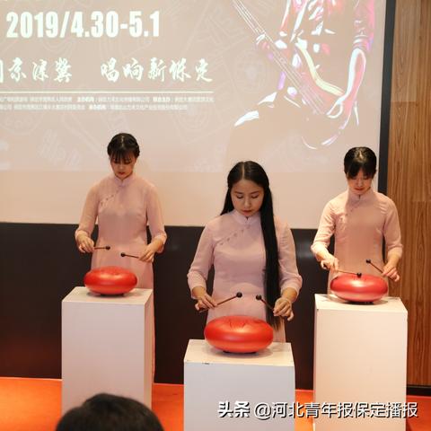 保定市哪里卖宠物