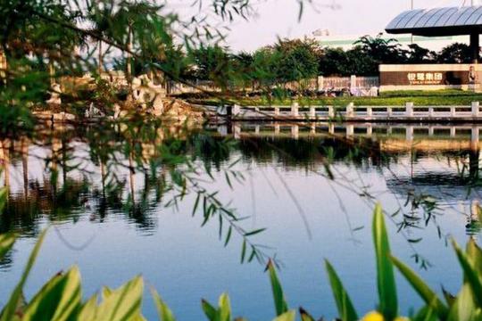 厦门“第一富豪村”，实现民房别墅化、村庄园林化，因罐头厂起家