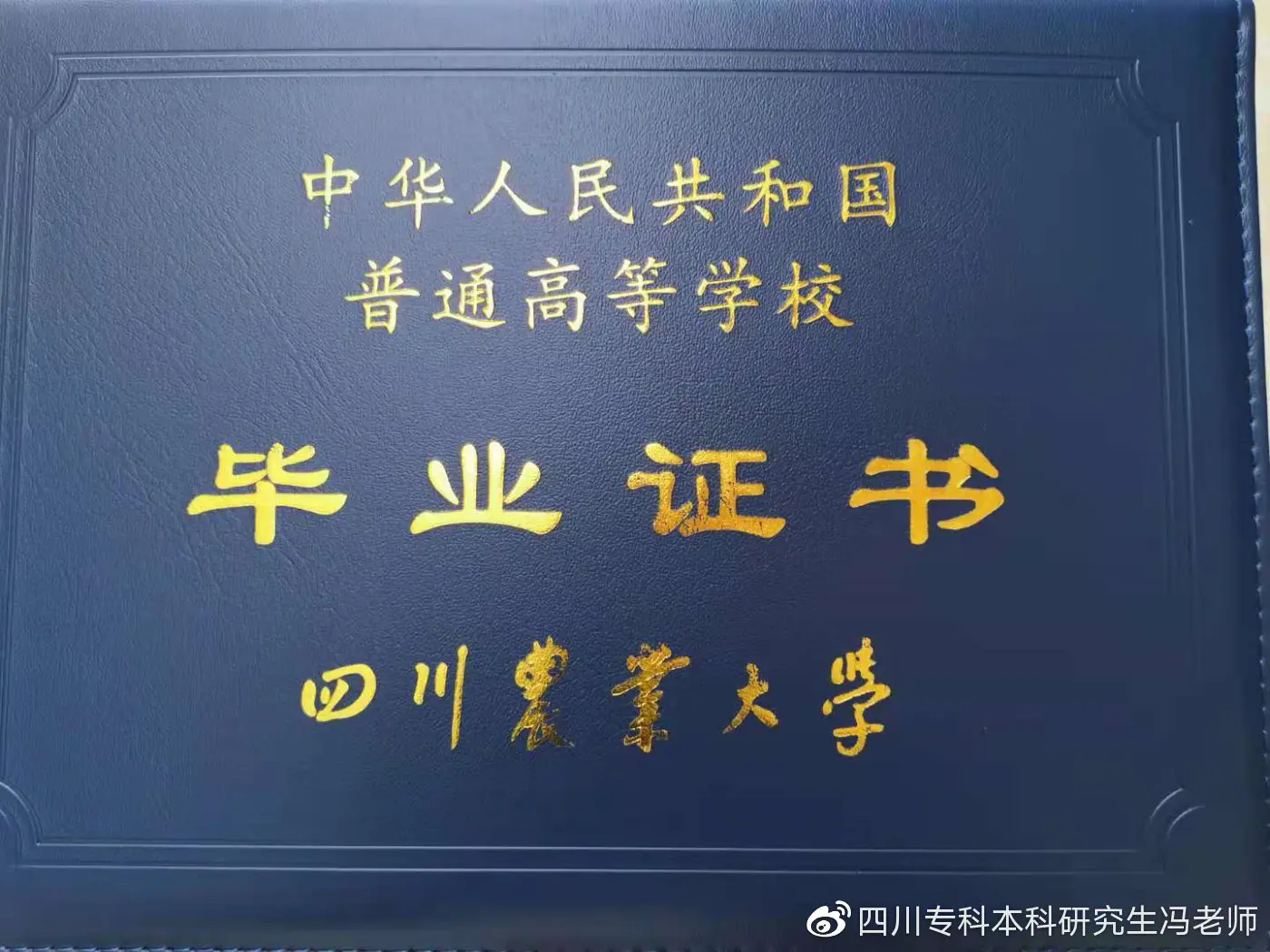 店群怎么上线 lazada怎么上线