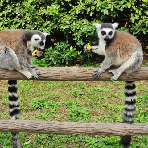 人工智能比人类】的相关长尾关键词有哪些