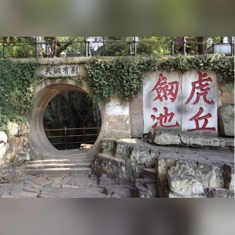 苏州市有什么花